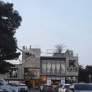 한우플라자 홍성 해돋이 명소와 홍성<b>한우</b><b>플라자</b>에서 무료 떡국 즐기기