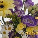플로랄데이즈 이미지