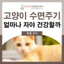 우장산동물의료센터 이미지