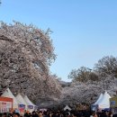 경마공원대로 | 과천 경마공원 데이트 후기 입장료 주차 이용방법(+어플) 총정리