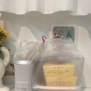 댕댕나비 이미지