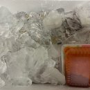 마포농수산물시장 영풍수산 대하 구입방법(인어교주해적단)