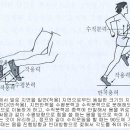 밸런스7