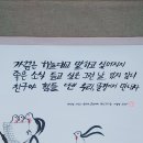 캘리그라피B 이미지