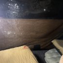 능포로 | [거제도 차박] 능포 낚시 공원에서 문어를 잡다 (20251010)