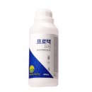 프로텍