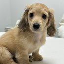 아이힐 동물병원 이미지