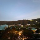 아띠앤펫 | 내돈내산 | 홍천비발디파크 소노펠리체 실버스위트 7층 파크뷰 2박 후기