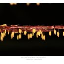 아이릭스 이미지