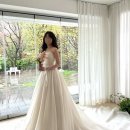 헤로하우스 토탈스튜디오 촬영후기ㅣ그리너리 정원뷰 1층 통창 배경