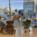 사라헤어 이미지