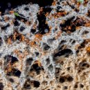 개미 농장 이미지