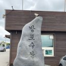 방포수산회타운 | [방포수산 방포회타운/태안 꽃게 맛집] 가성비로 야무지게 즐겨준 꽃게 한상(가격정보)