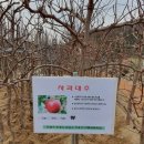 홍천군산림조합 이미지