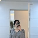 이든펜션 | 제주 감성숙소 반려견동반이 가능한 스테이 이든 내돈내산 후기