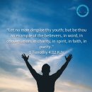 웨스트민스터신학대학원대학교 이미지