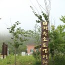 청송외갓집 이미지