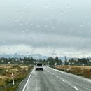 평원목장 | 캠퍼밴 여행] 캠퍼밴 픽업, 크라이스트처치 한인마트, 테카포이동, 테카포 레이크 엣지 홀리데이 파크 후기