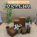 미사 셀프사진관 아이기념일 가족사진 하남 부록스튜디오 강추후기