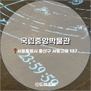 [전시] 선사, 고대관 개편! 국립중앙박물관 방문 후기!