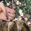 네일바이린 이미지