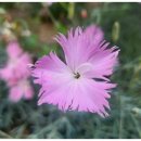 김성주행정사사무소 이미지