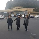제주로여행유