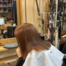 월촌역 | 브라운 염색 월촌역 미용실 블랙빼기 탈색 잘하는 곳 주미헤어 후기