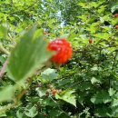 복내초교 이미지