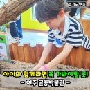 여주박물관화장실 | 경기도 여주 가볼만한곳! 여주곤충박물관 입장료 체험 후기!