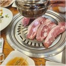 맘보갈비 이미지