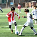 정림초등학교 이미지