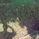 성산홍마트 1 이미지