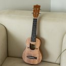 초등우쿨렐레 이미지