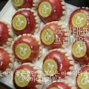 국가대표과일촌 | 국가대표 설 과일선물세트 구성 가격 공개