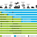 양하무역 | [일반회계] 무역거래조건(인코텀즈), 수출 및 수입기업 감사 시 반드시 확인해야 할 핵심 포인트