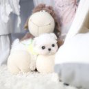 더펫 강아지분양 고양이분양 일산본점 이미지