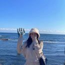 당치회관 | 가볼만한 곳 - 호미곶/구룡포일본인가옥거리/곤륜산/청진3리어민복지회관/청하시장/갯마을차차차촬영지