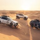 엑스디테일 이미지