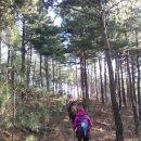 바우길 10구간 이미지