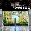 아남세탁 | 나트랑 태교여행 더아남 리조트 발코니 씨뷰 후기 &amp; 밀박스 (내돈내산)