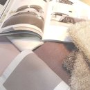 광교 중흥 이미지