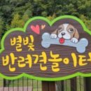 영월오아시스 글램핑 이미지