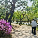 국립서울현충원 | 서울 아이들과 가볼만한 곳 국립서울현충원 주차 등 상세 후기