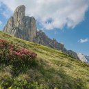 연세봄날에산부인과의원 이미지