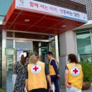 죽동1리 네이버블로그