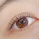 또또살롱 이미지