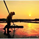 해맞이승마클럽 이미지