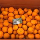 효우농장 이미지