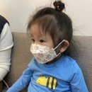 오직 성심당만을 위해! 대전에 다녀왔는데요. 맞다! 속초 실비집도 갔답니다?
